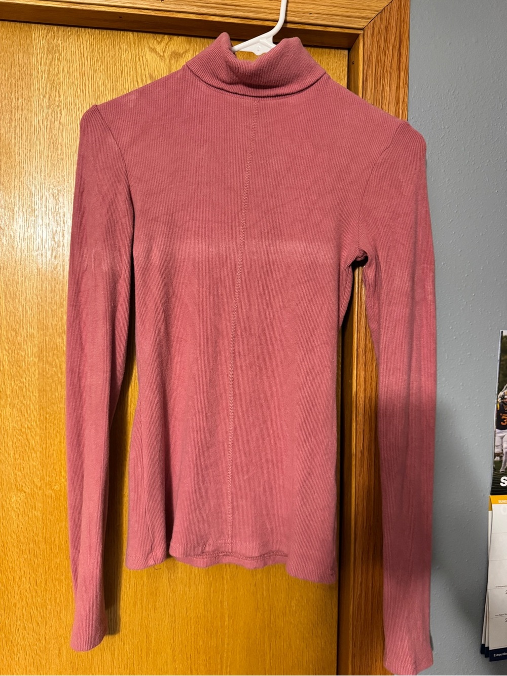LA MIEL Dusty Rose Slim Turtleneck Long-Sleeve Top